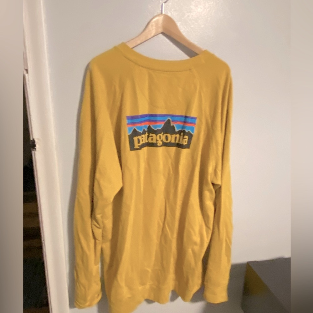 Patagonia Sweatshirt